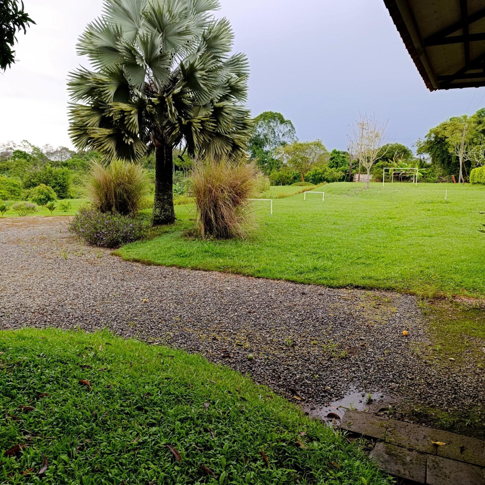 Hotel Campestre Los Mangos Quimbaya Bagian luar foto
