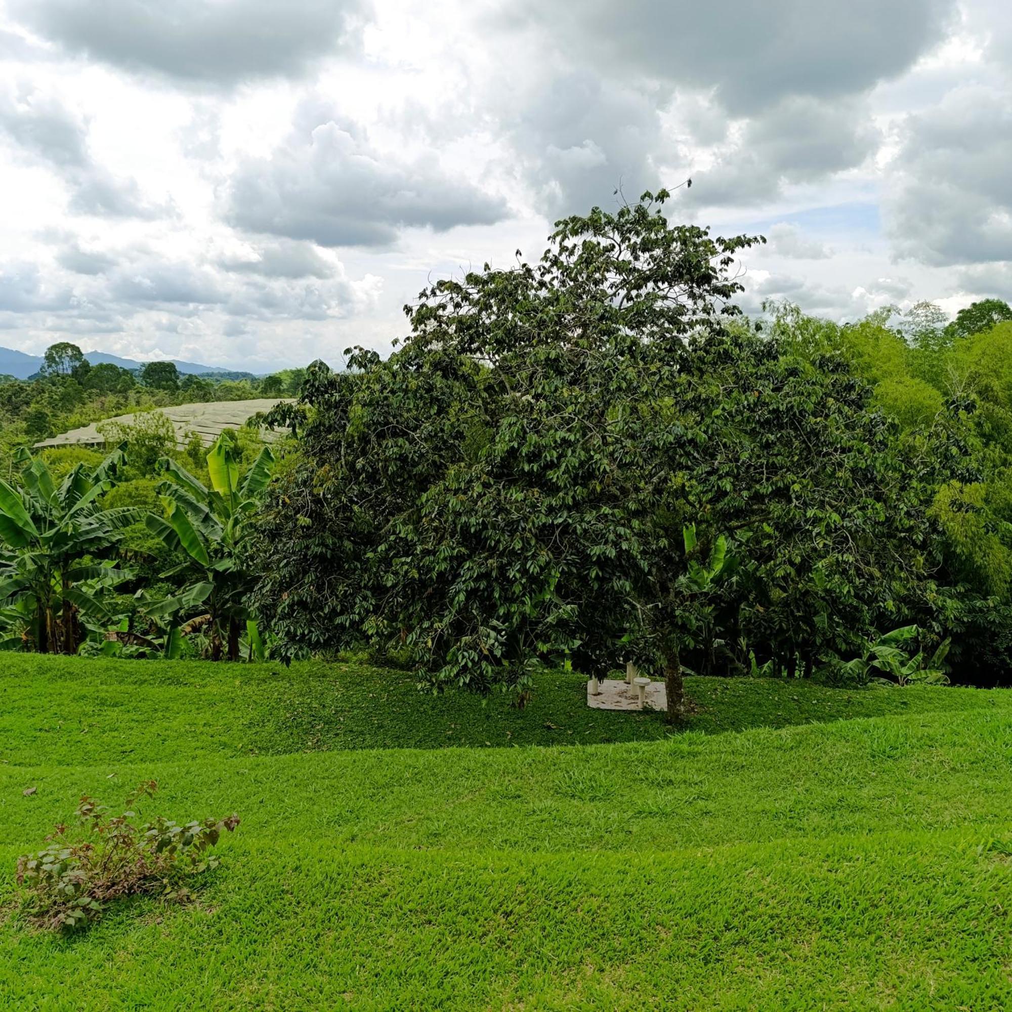 Hotel Campestre Los Mangos Quimbaya Bagian luar foto