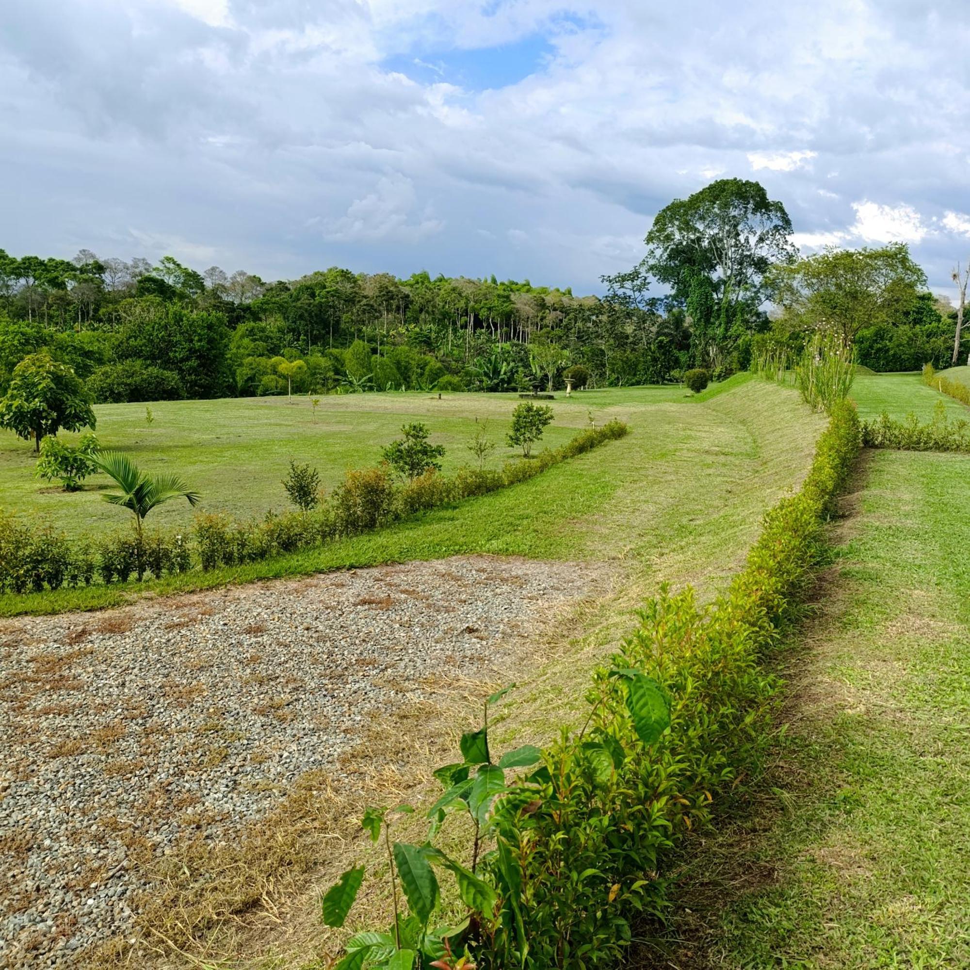 Hotel Campestre Los Mangos Quimbaya Bagian luar foto